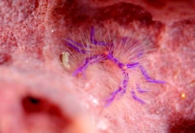 �����@���b�h���b�N